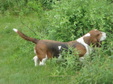 Enlarge photo 81