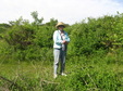 Enlarge photo 84