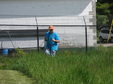 Enlarge photo 82