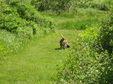Enlarge photo 86
