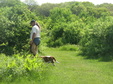 Enlarge photo 88