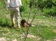 Enlarge photo 91