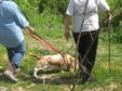Enlarge photo 90