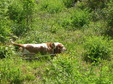 Enlarge photo 92
