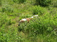 Enlarge photo 94
