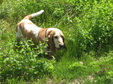 Enlarge photo 93