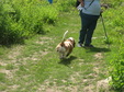 Enlarge photo 95
