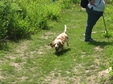 Enlarge photo 96