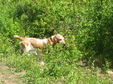 Enlarge photo 97