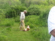 Enlarge photo 104