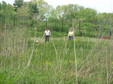 Enlarge photo 105