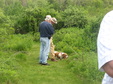 Enlarge photo 106