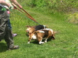 Enlarge photo 107