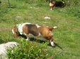 Enlarge photo 109
