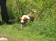 Enlarge photo 110