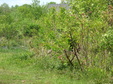Enlarge photo 112