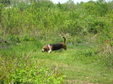 Enlarge photo 113