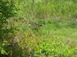 Enlarge photo 114
