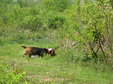 Enlarge photo 115