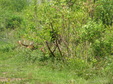 Enlarge photo 116