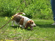 Enlarge photo 117