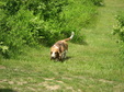 Enlarge photo 119