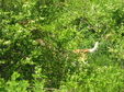 Enlarge photo 120