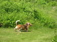 Enlarge photo 122