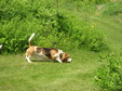 Enlarge photo 123