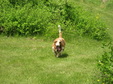 Enlarge photo 125