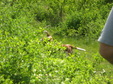 Enlarge photo 128