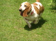 Enlarge photo 130