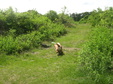 Enlarge photo 133