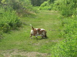 Enlarge photo 134