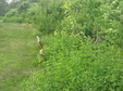 Enlarge photo 135