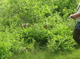 Enlarge photo 136