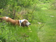Enlarge photo 138