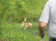 Enlarge photo 139