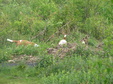 Enlarge photo 140