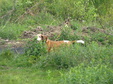 Enlarge photo 143
