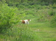 Enlarge photo 142