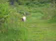 Enlarge photo 144
