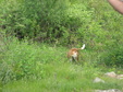 Enlarge photo 146