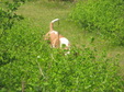 Enlarge photo 145