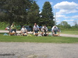Enlarge photo 148