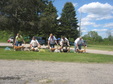 Enlarge photo 151