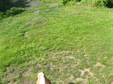 Enlarge photo 152