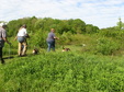 Enlarge photo 153