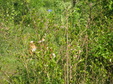 Enlarge photo 154