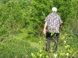 Enlarge photo 155